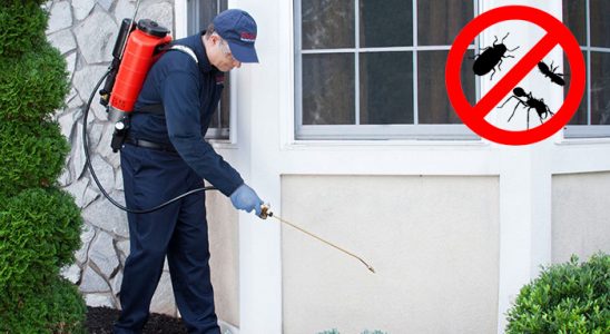 Haliliye Kene İlaçlama böcek ilaçlama ve haşere kontrolü — ilaclama-tr.com